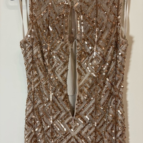 Adrianna Papell Nude & Gold Sequin Beaded Column Dress Gown Sz 10 - Picture 9 of 13